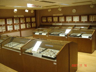 白川、北海道の蝶の多くは寄贈されたものです。
